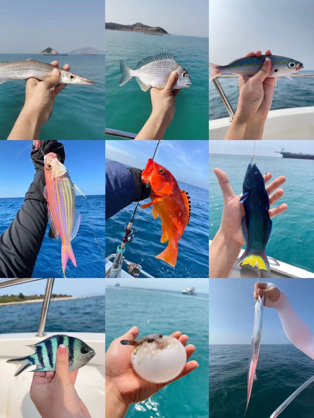 在深圳｜一起去海中央钓鱼吧！