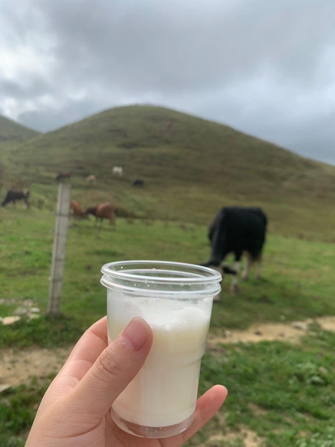 暑期南山牧场避暑亲子游-长沙出发