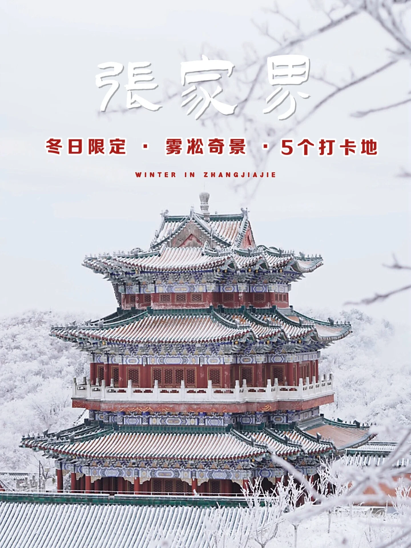 湖南张家界❄堪称国内雾凇赏雪天花板