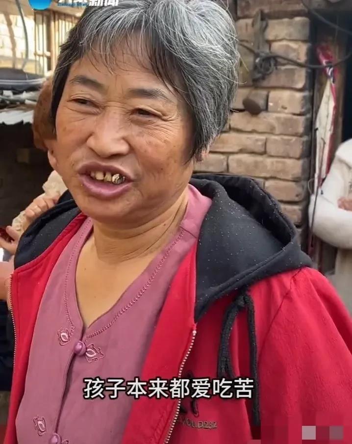 神舟十七号航天员江新林的母亲是一位朴实的河南农村妇女，在谈到儿子如何成材时提到，