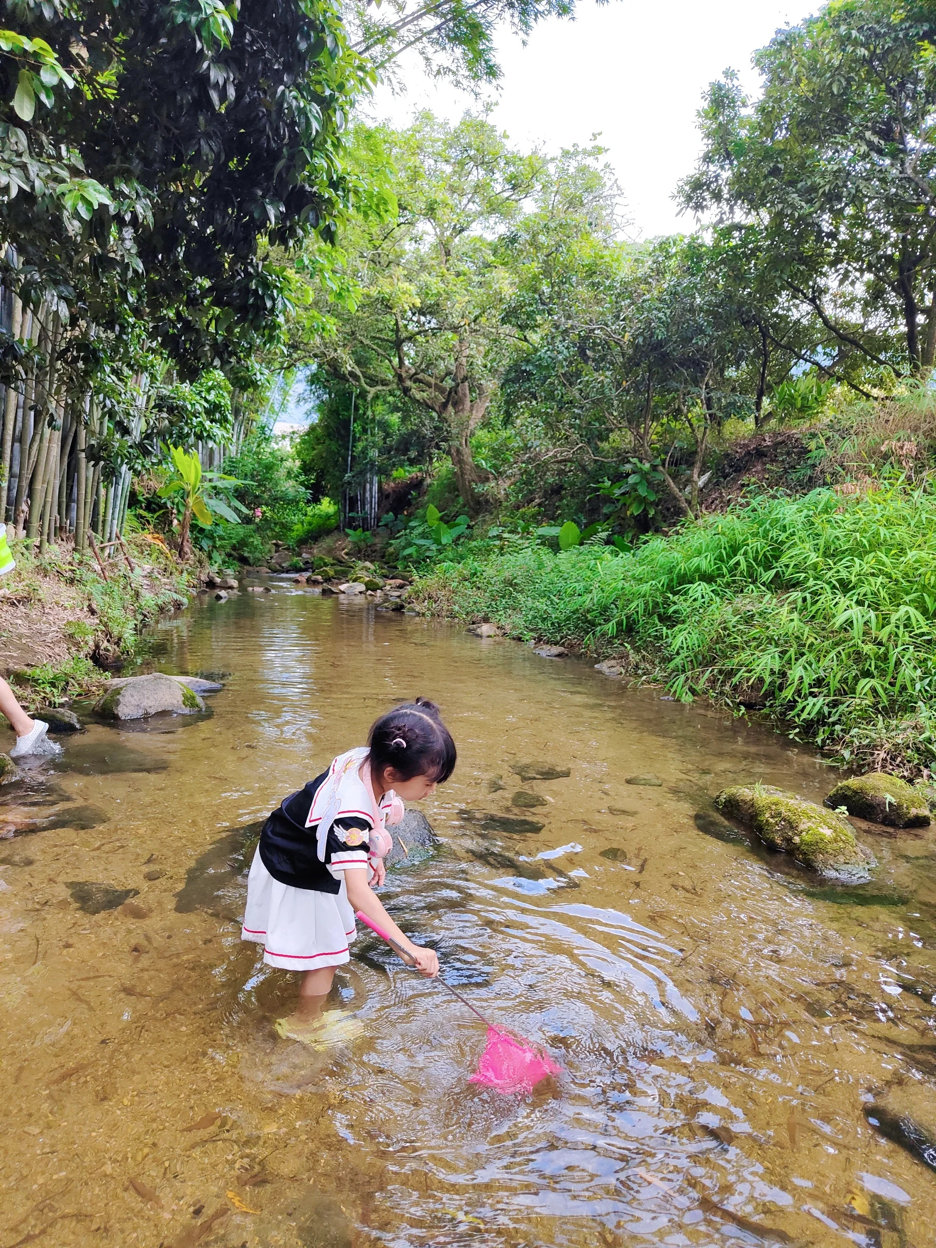 夏天溯溪玩水时刻！广州从化0元玩水攻略