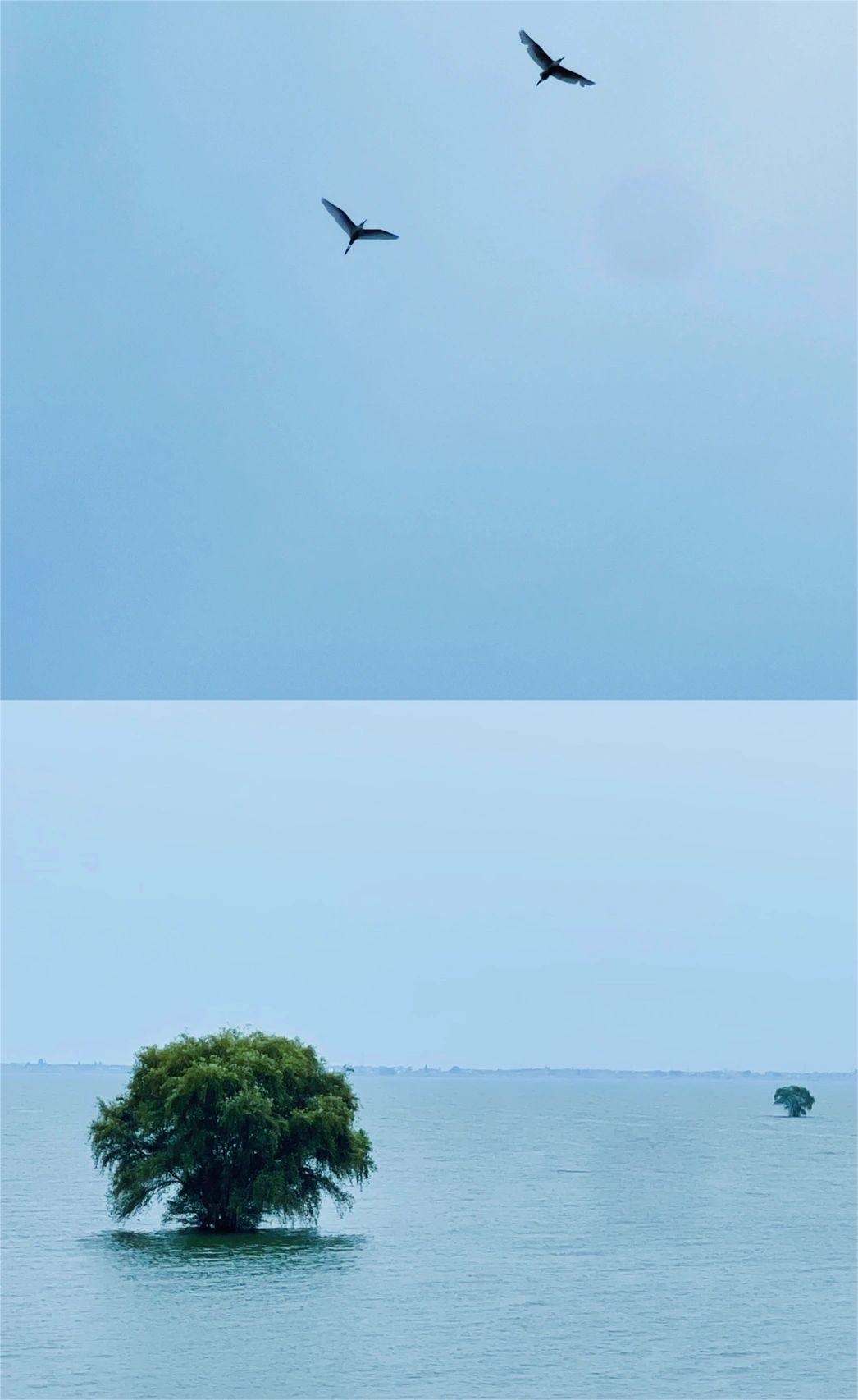 南京石臼湖天空之境|xhs诚不欺我❗