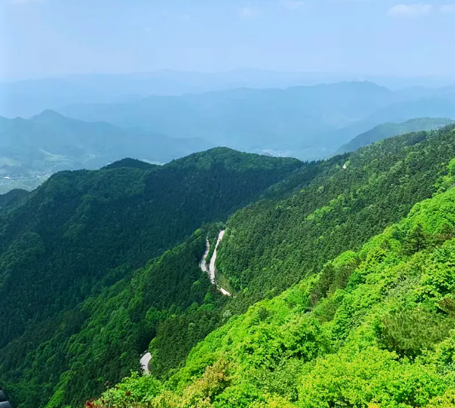 给你一个月工资1万5，让你在浙江一个周边区域没有人的大山里上班愿意吗。这里是浙江