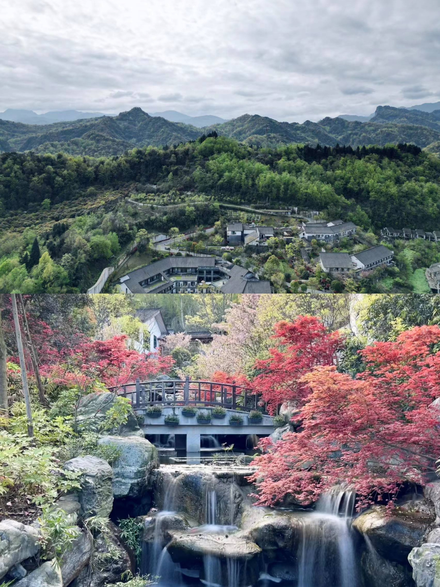 四川青城山/2小时达周末去山里躺平