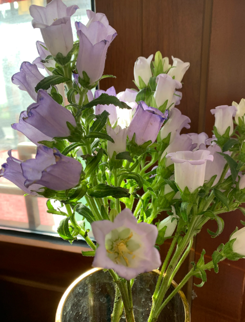 我今年56岁，退休金1850元，存款22万，住在天津，自己有个70多平的楼房，每