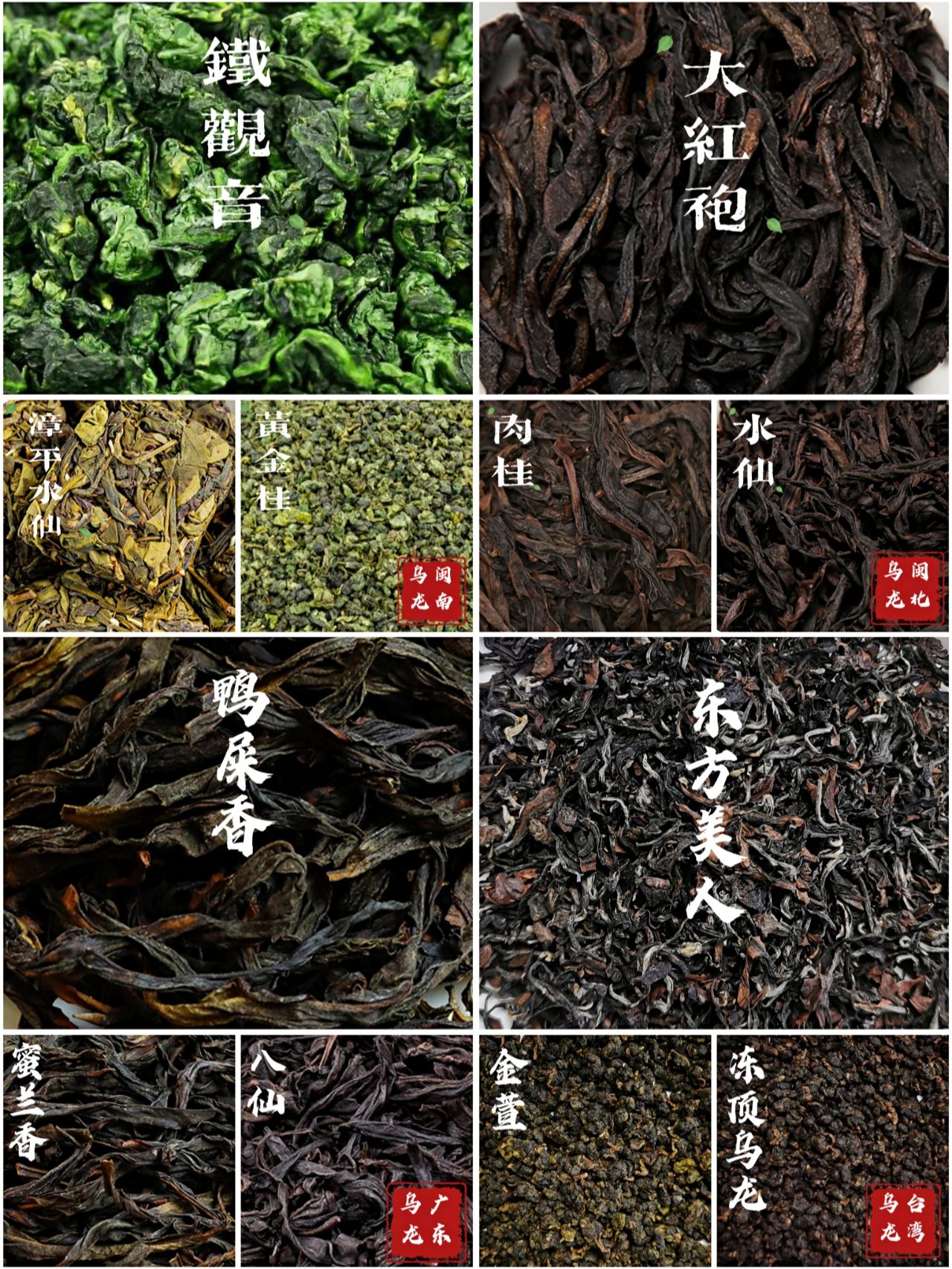 各大名茶详细介绍#铁观音产地#