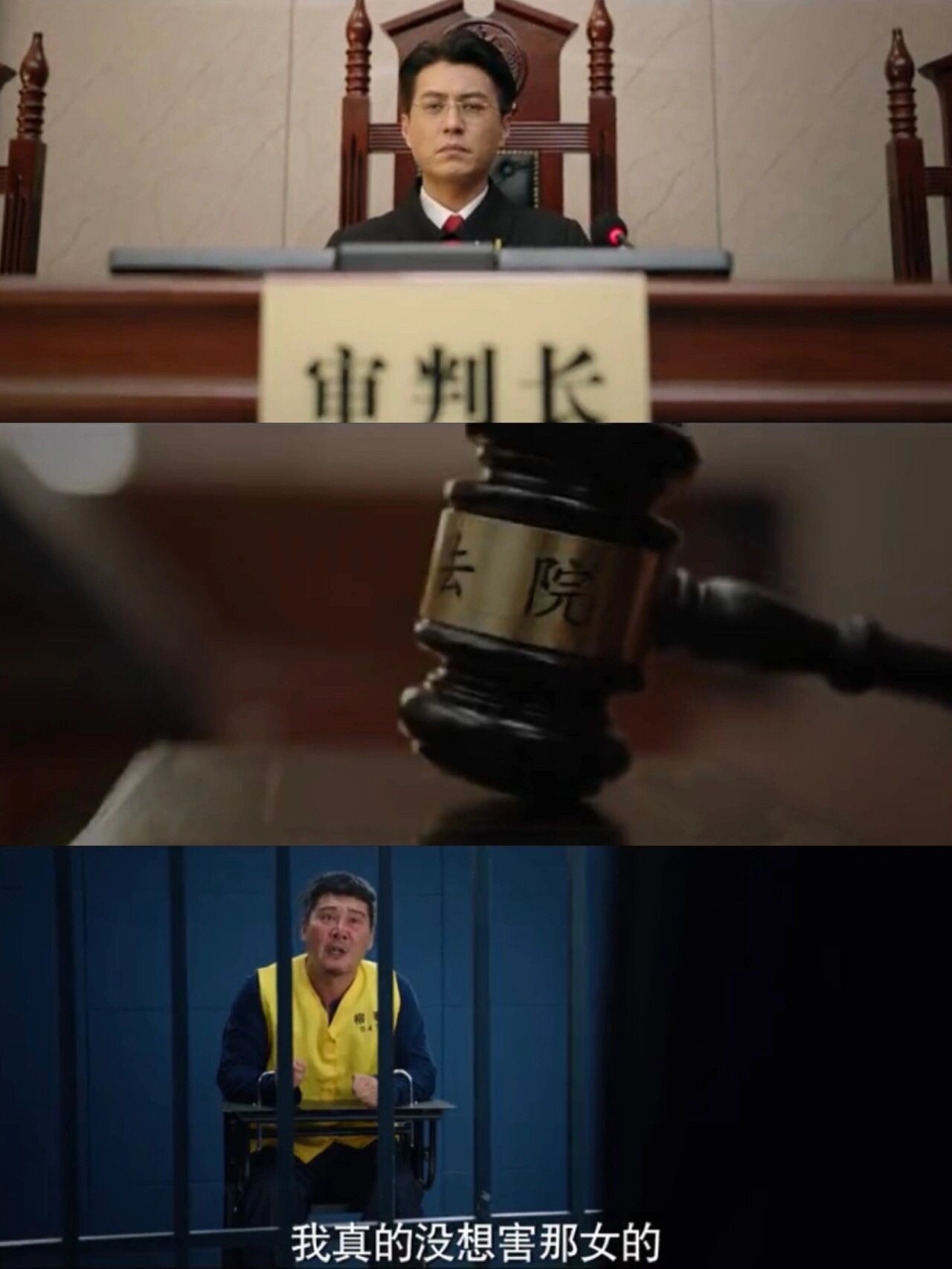 国产法治剧王‼真实事件改编‼️老戏骨同台