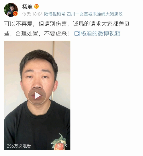 如何看待为流浪狗发声的明星杨迪?