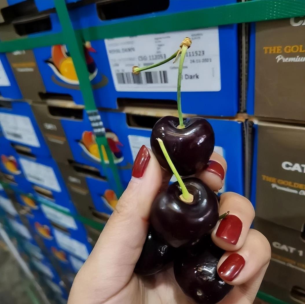 跨越2万公里，全球第一个可以向我国出口所有水果品种的国家？
智利与中国签署协议，