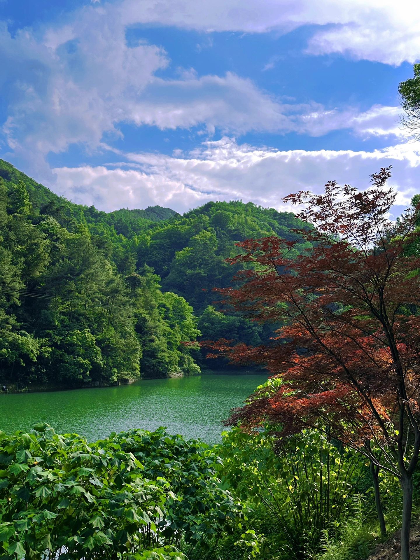 这里是毛爷爷的家乡｜韶山游玩指南
