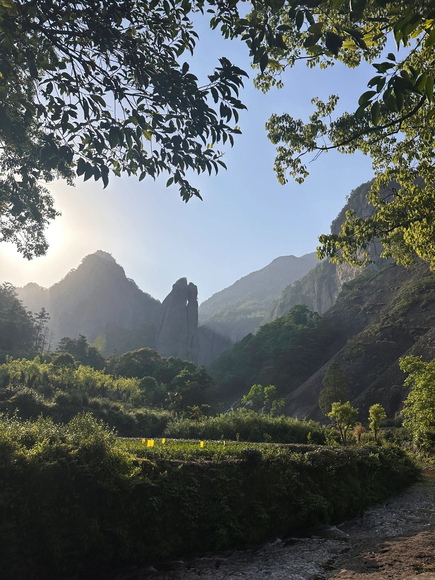 亲子游｜体验人从众5A风景区-雁荡山