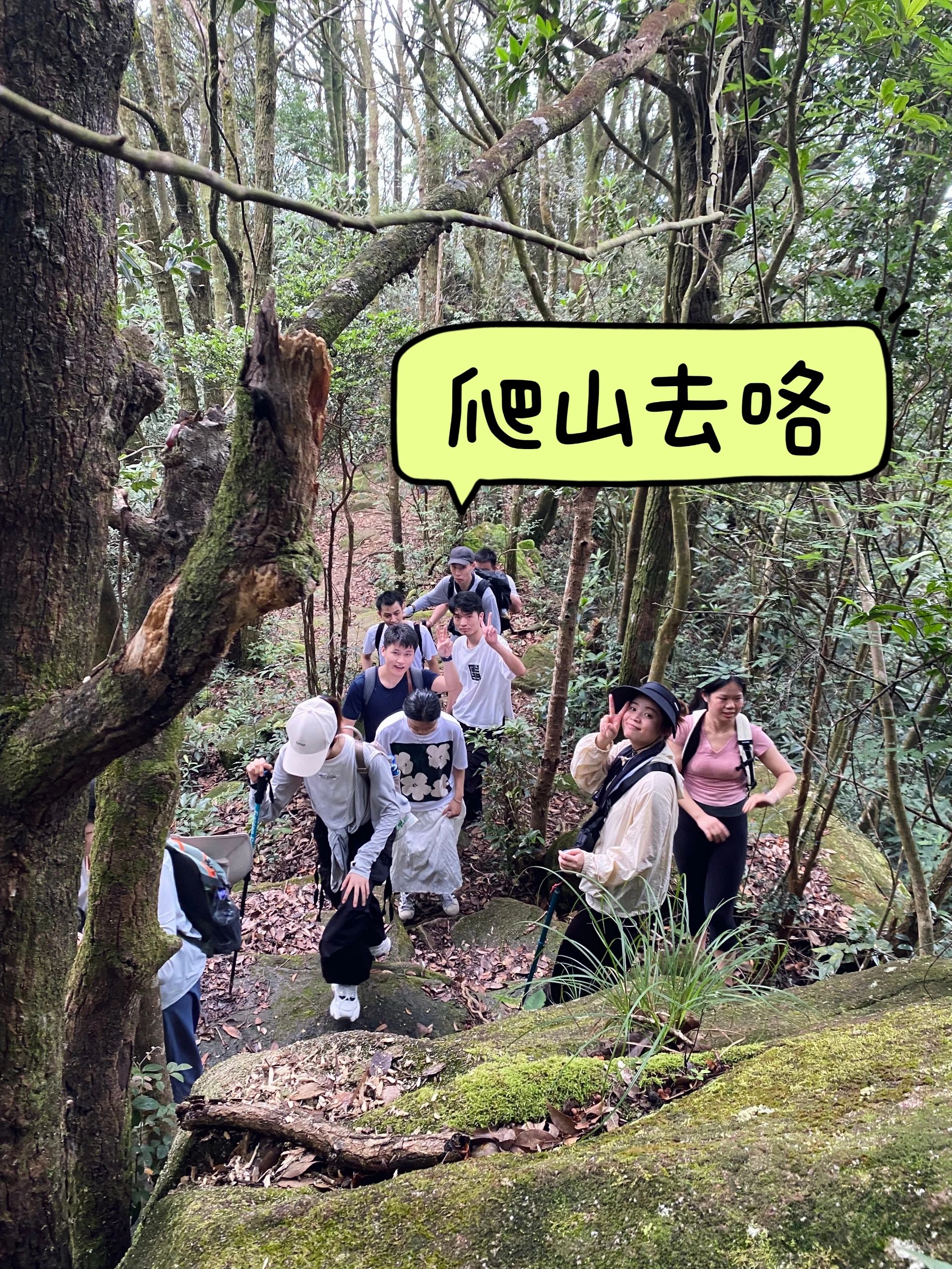 海拔1175米，仅次于天堂顶