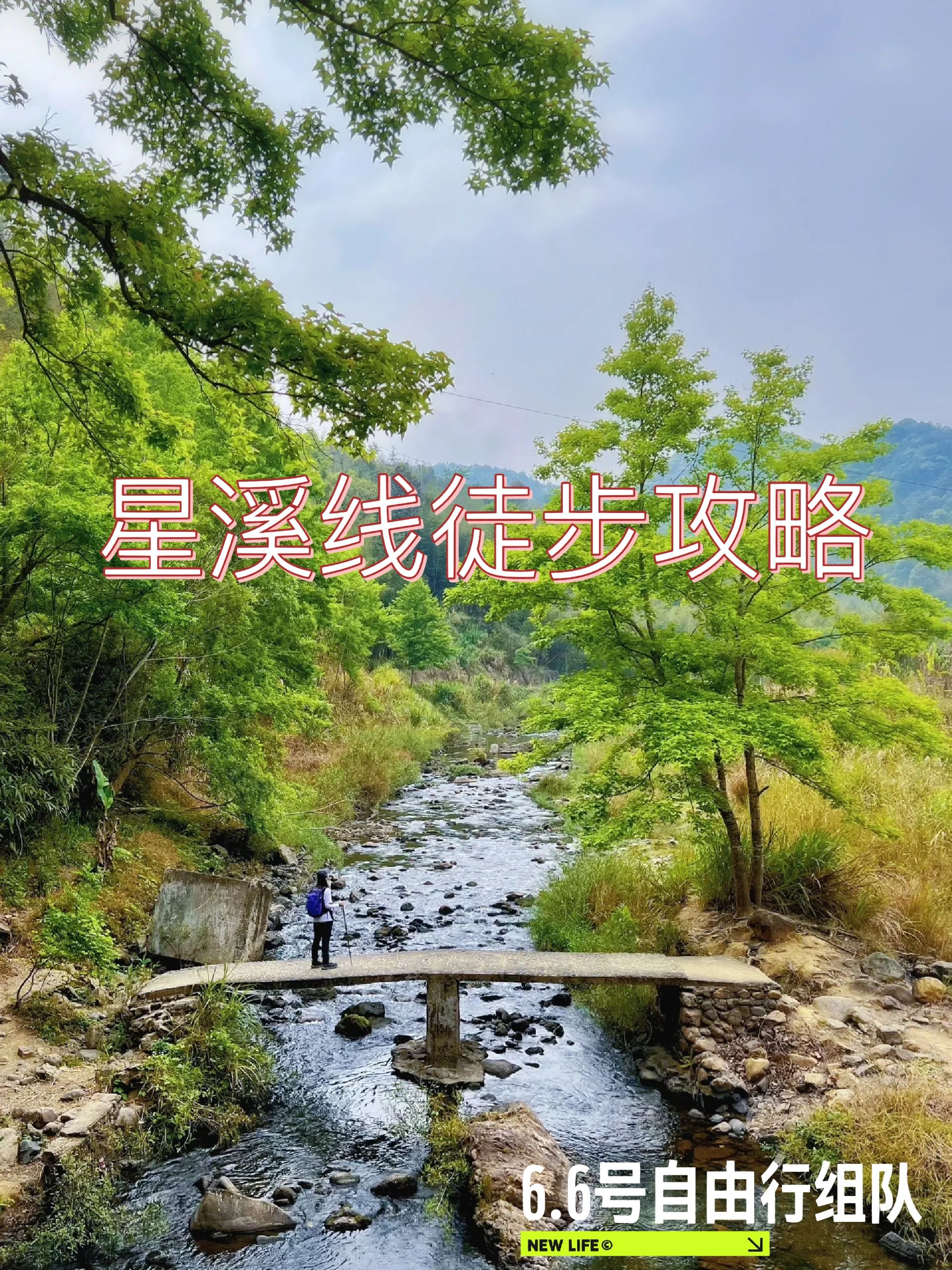 星溪线十里竹林🎋溯溪🌊夏天非你莫属