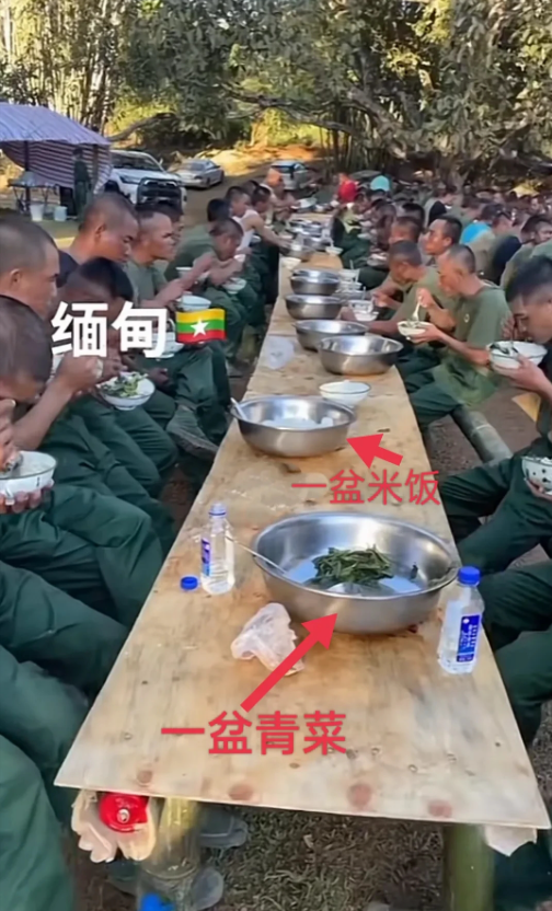 同盟军开饭，一盆米饭一盆青菜足矣。
