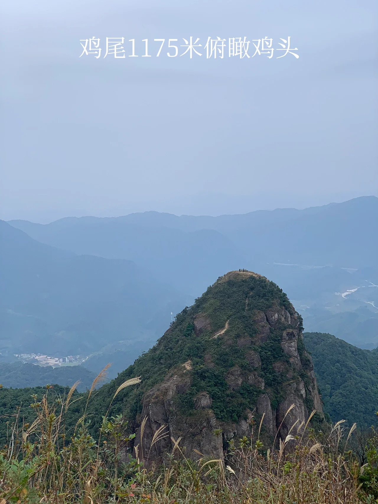 从化鸡枕山·炖鸡汤
