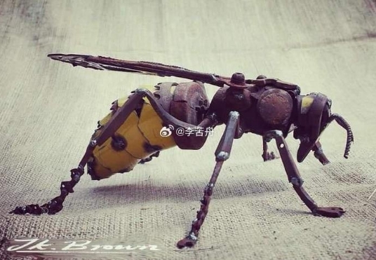 艺术家用废弃金属做的动物 ​​​