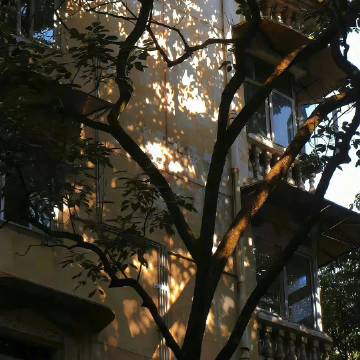 老人言：“槽里无食猪拱猪，分脏不均狗咬狗，利益面前人坑人！树烂在根，人坏在心！”