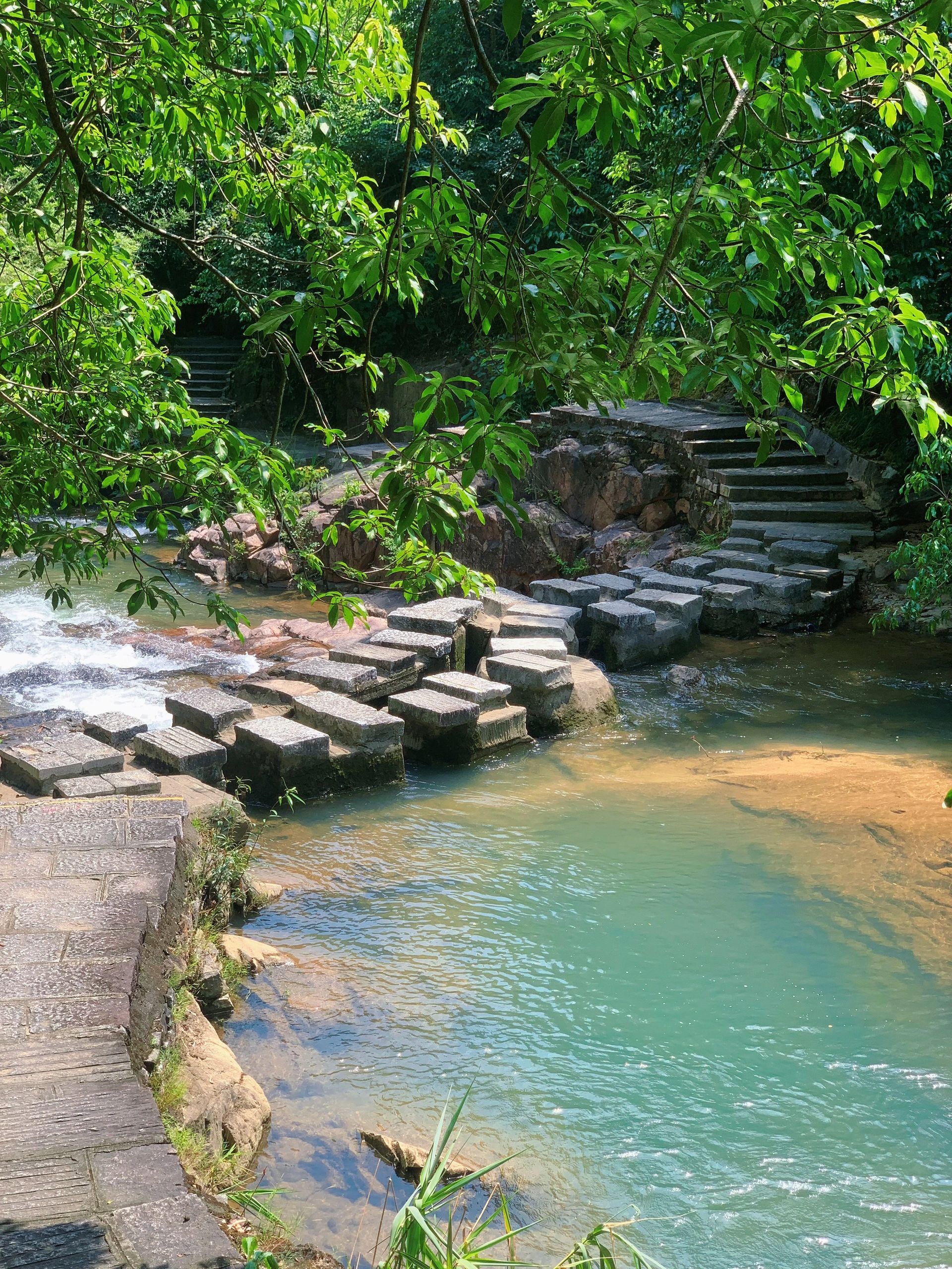 广州“绿宝石”般的溪水被我发现啦❗️