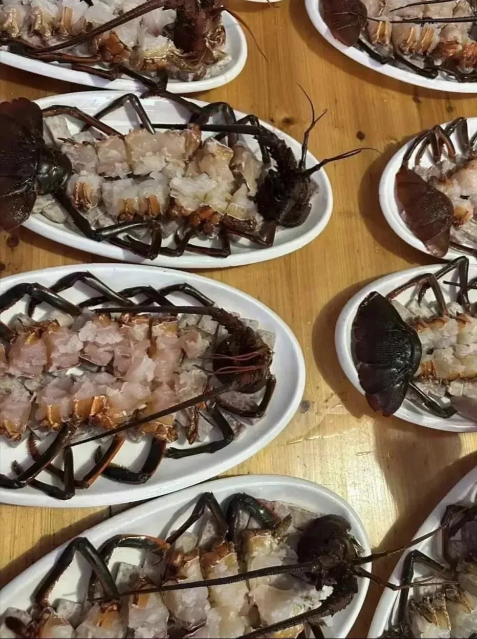 酒席看到的龙虾，瞬间没食欲了

