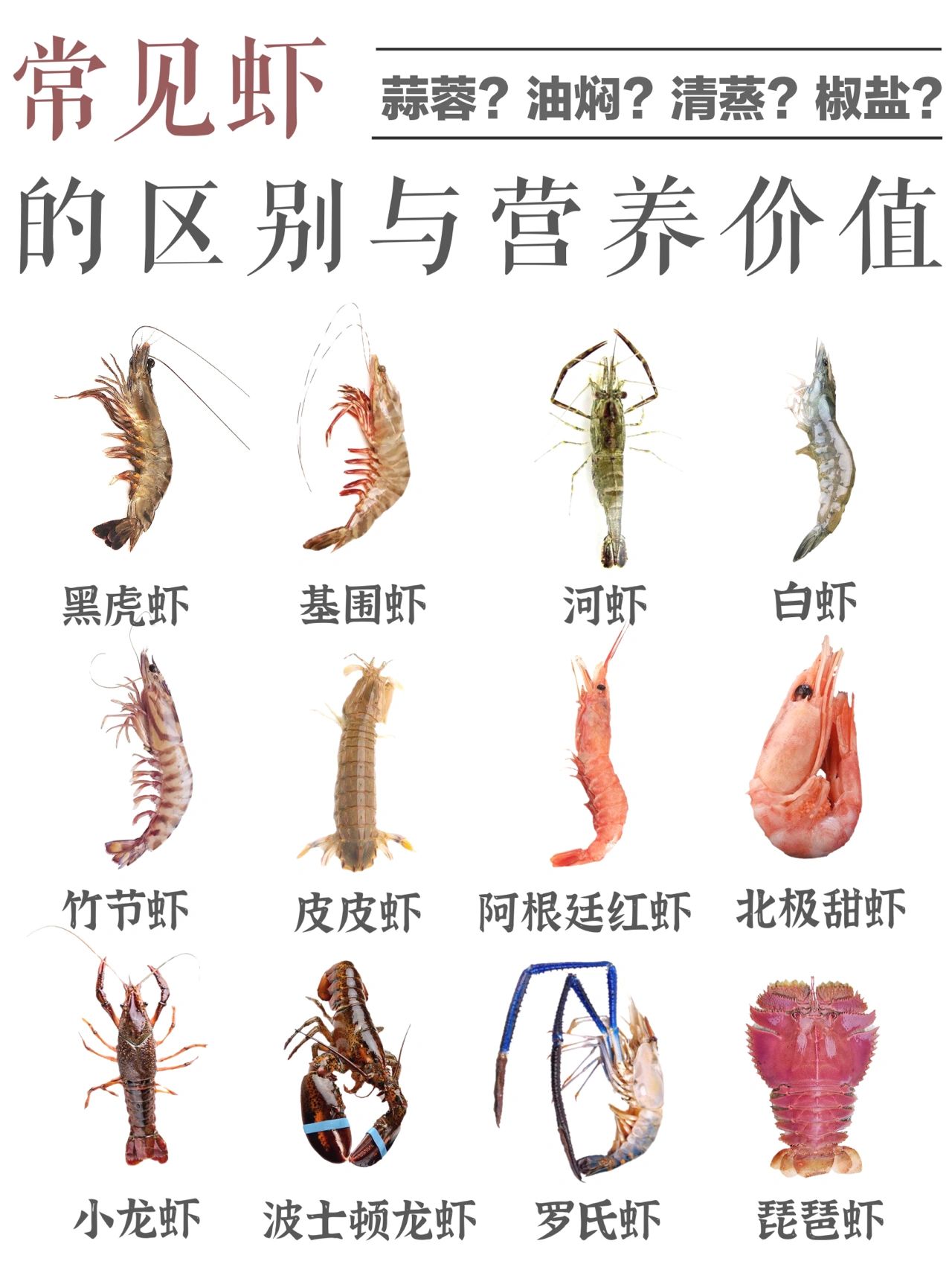 虾的区别和营养价值#虾类营养价值排行#