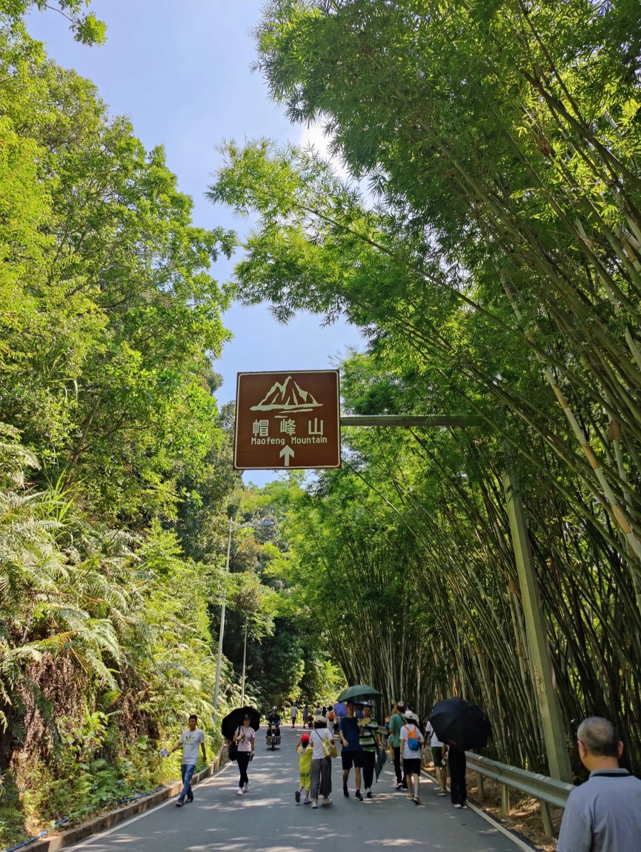 秋天当然要去户外啊!帽峰山丧走