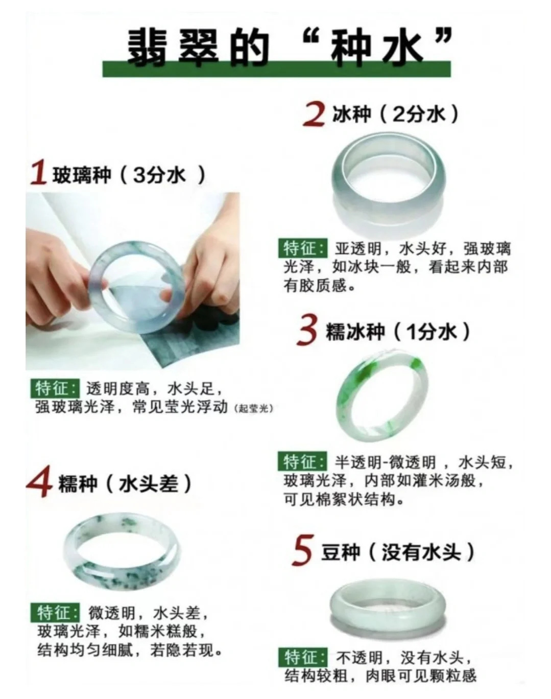 翡翠和玉是一种吗？区别在哪里？