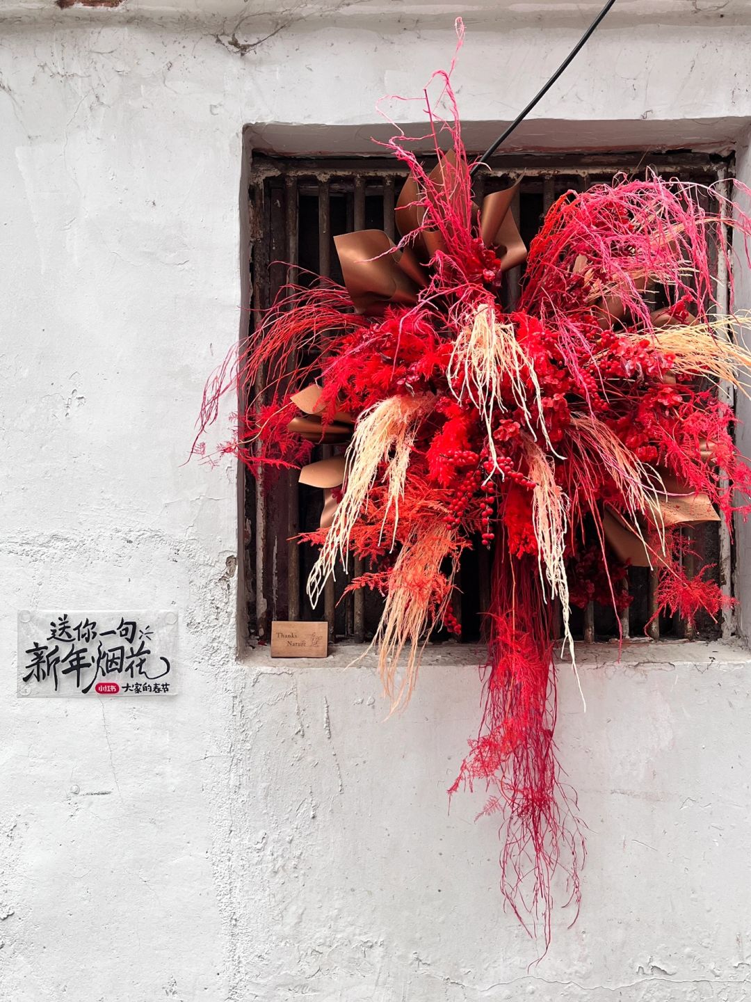 在武汉街头 遇见一整条街的烟花
包下一整条街 送烟花
这是只属于武汉的浪漫
一个