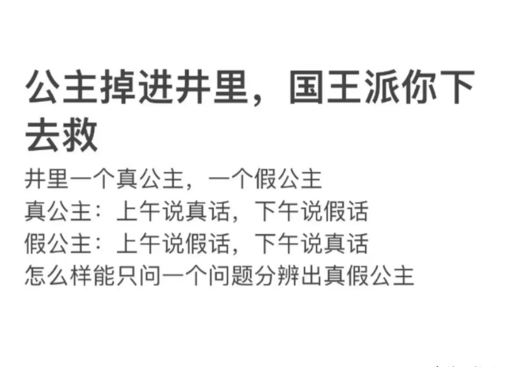 公主掉进井里，国王派你下去救

井里一个真公主，一个假公主

真公主:上午说真话