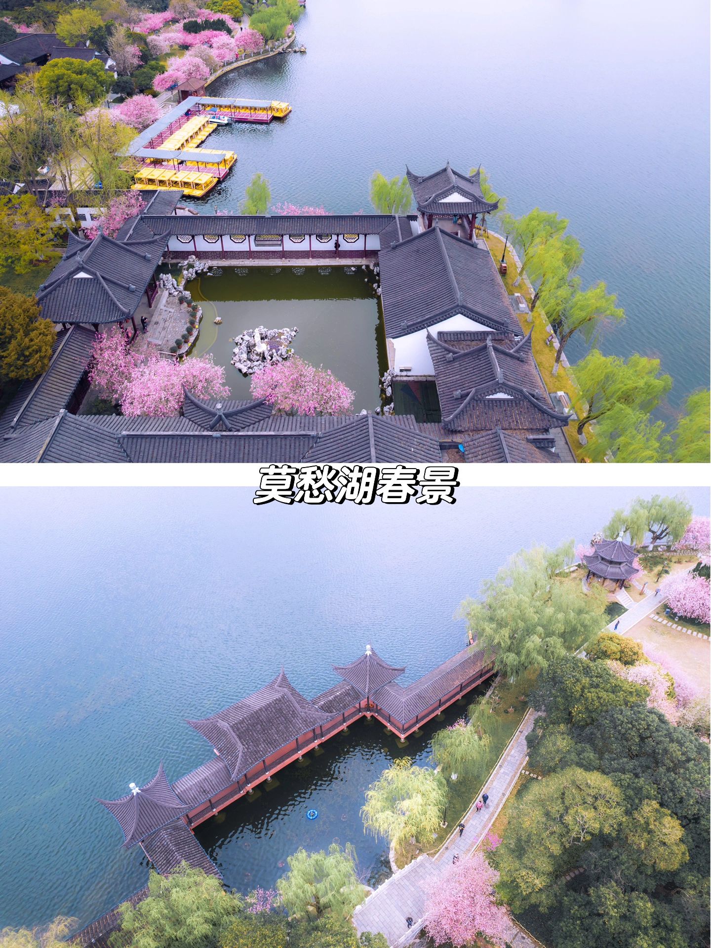 南京这个免门票的公园，国庆超热闹