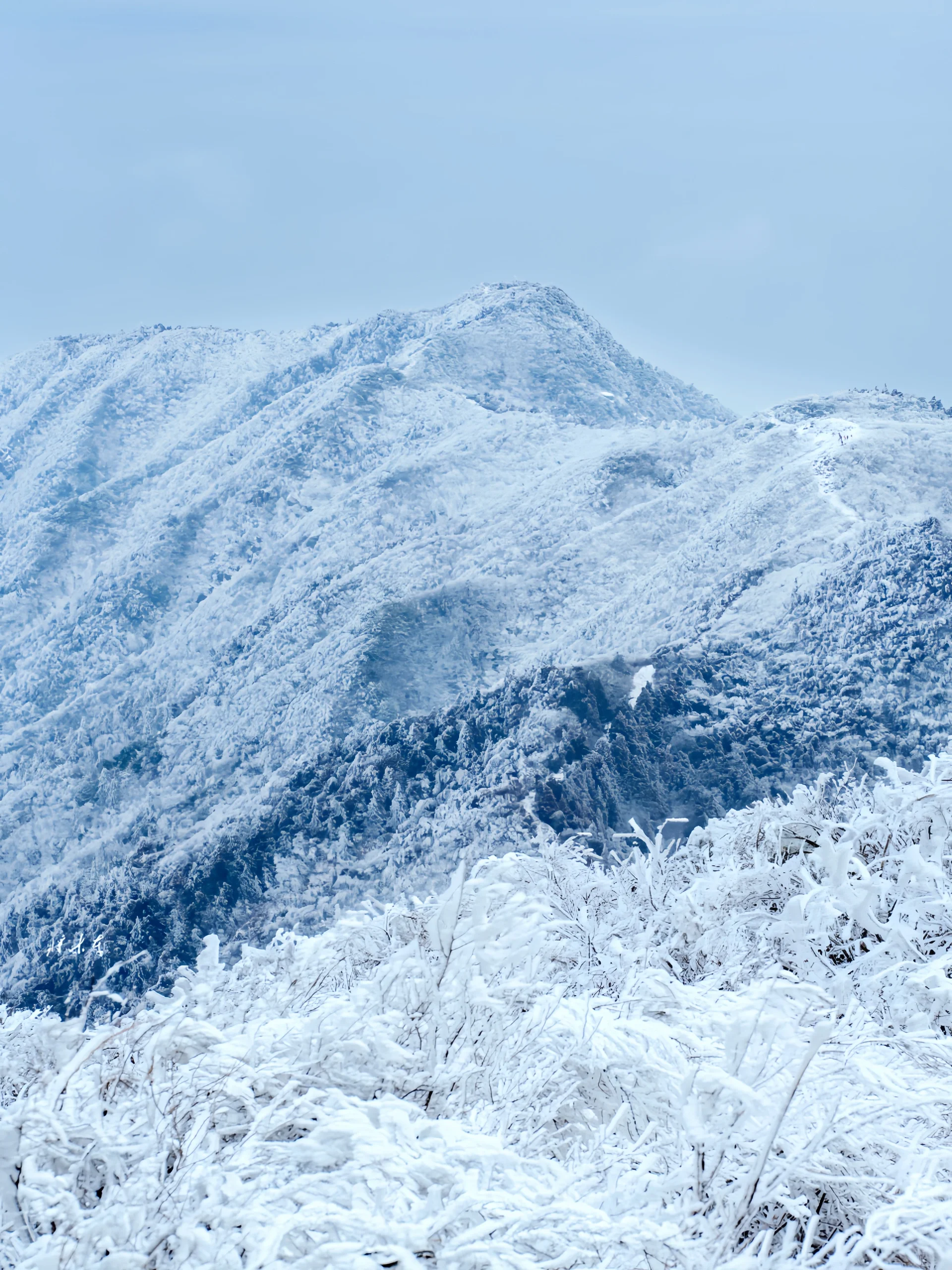不出广东赏雪｜广东大赏雪好去处❄️