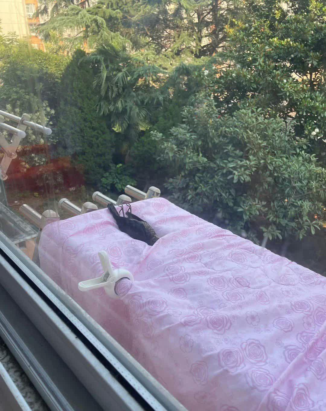 网友：感谢大自然的慷慨馈赠。