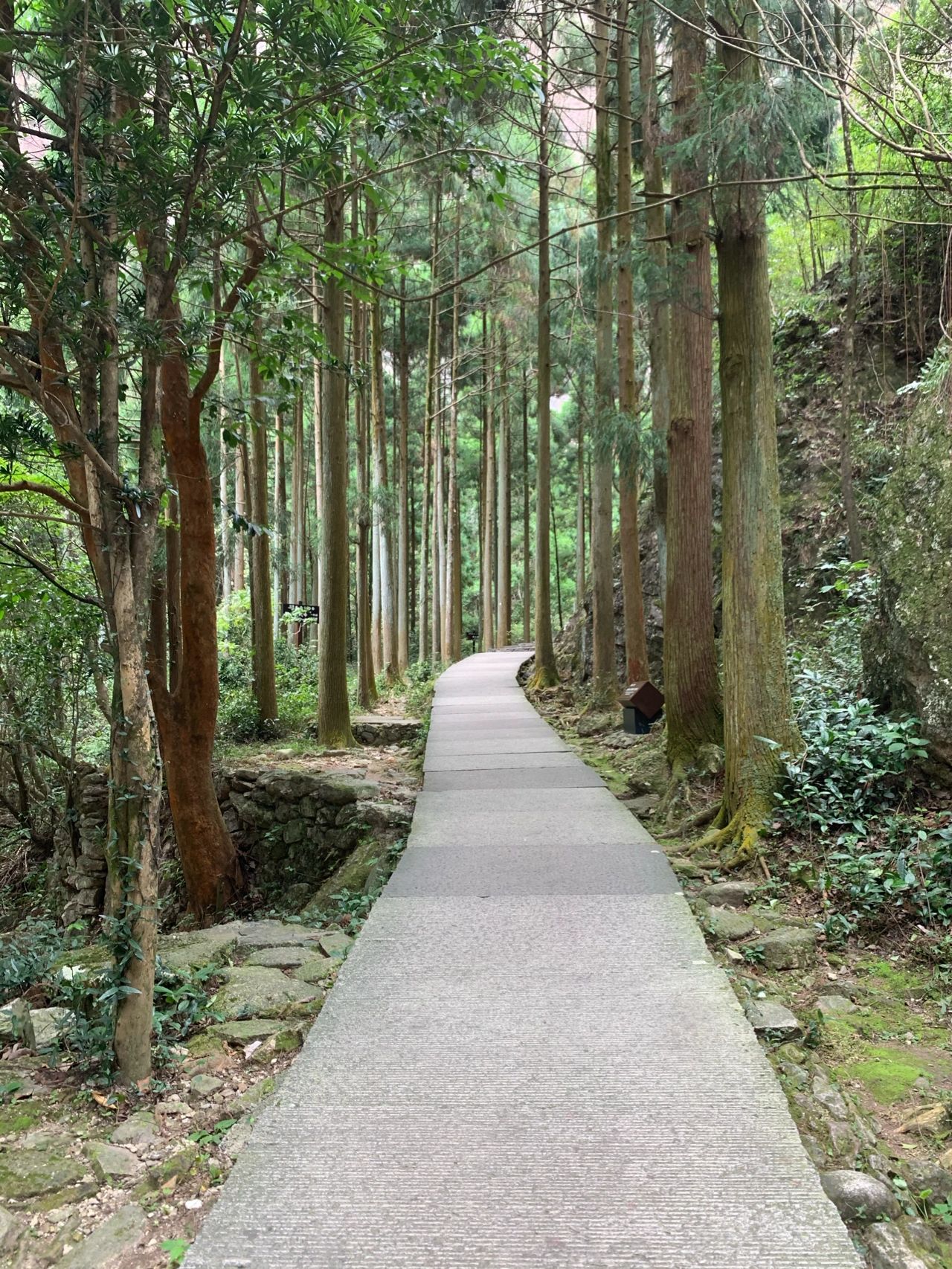 雁荡山风景区大龙湫游记/亲子游推荐！