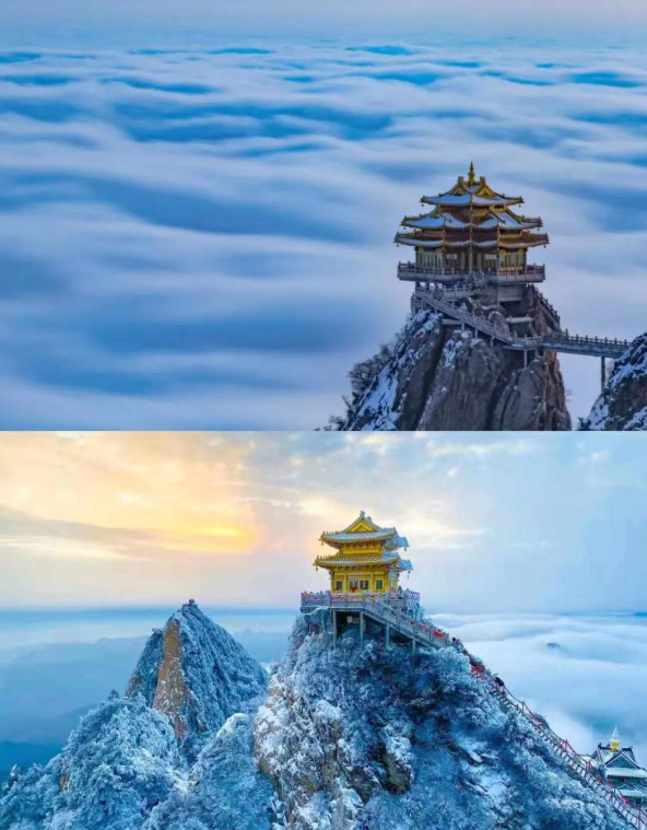 去天宫赏雪❄️

老君山海拔2217米，
得天独厚的海拔优势，
造就了老君山无与