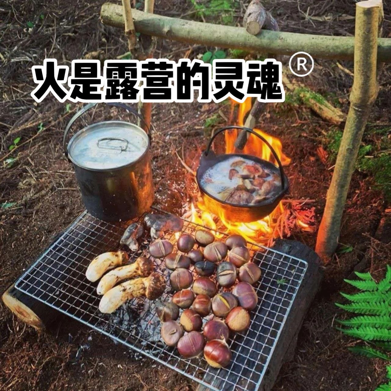露营玩火的正确打开方式