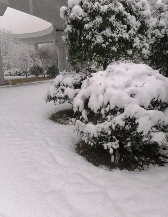 《五绝，长安雪》
六片漫长安，行人步履艰。
儿童逐雪仗，老朽望冰寒。 