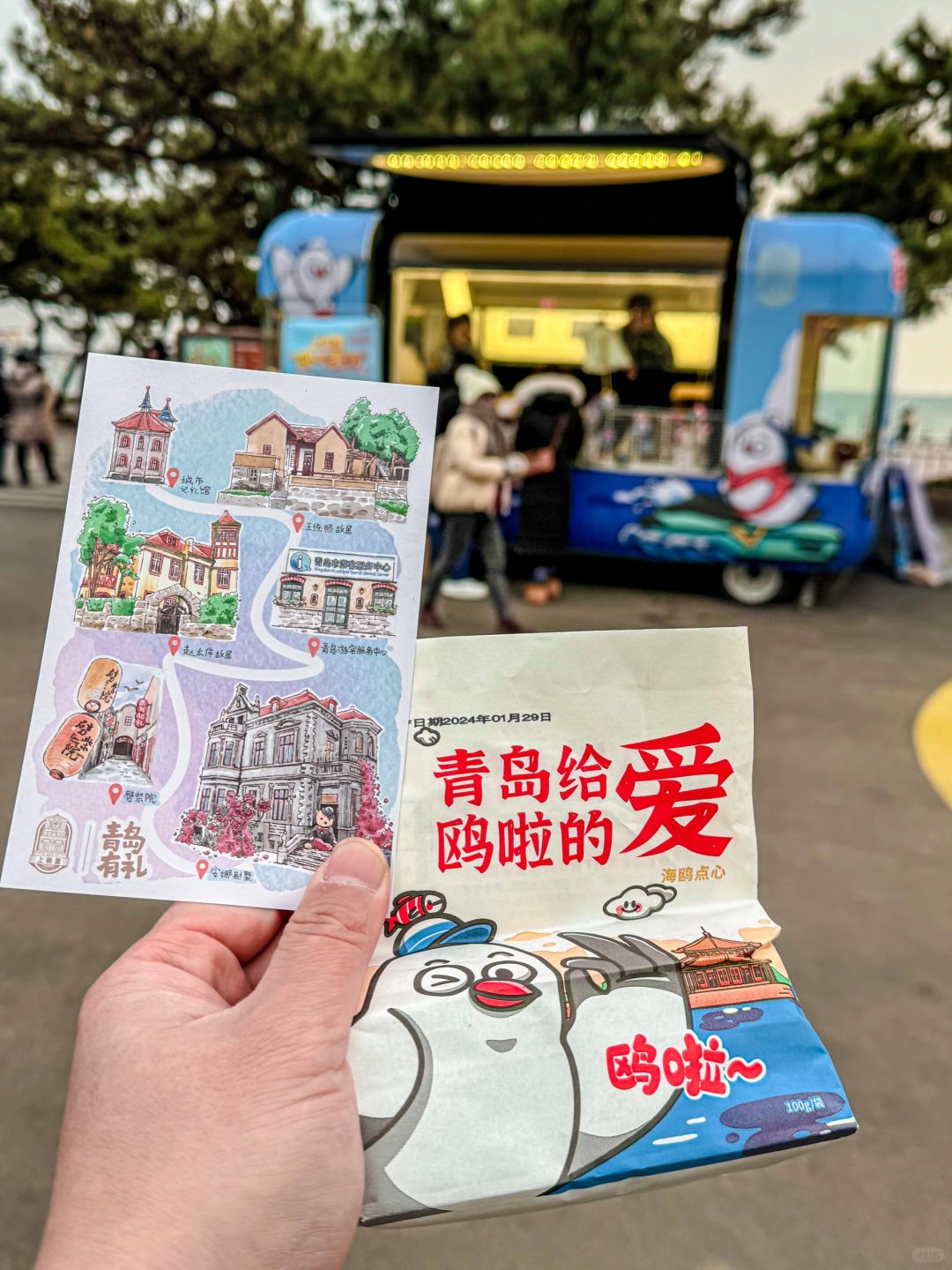 中山路“鸥气满满”领徽章～这个小车别错过！
栈桥海鸥漫天飞舞～真的是成千上万，
