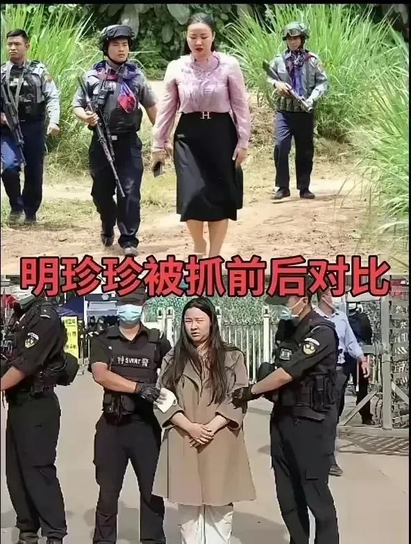 明珍珍被捕前后的对比照片，反差实在是太大了，令人无法接受

第一张照片我们可以看