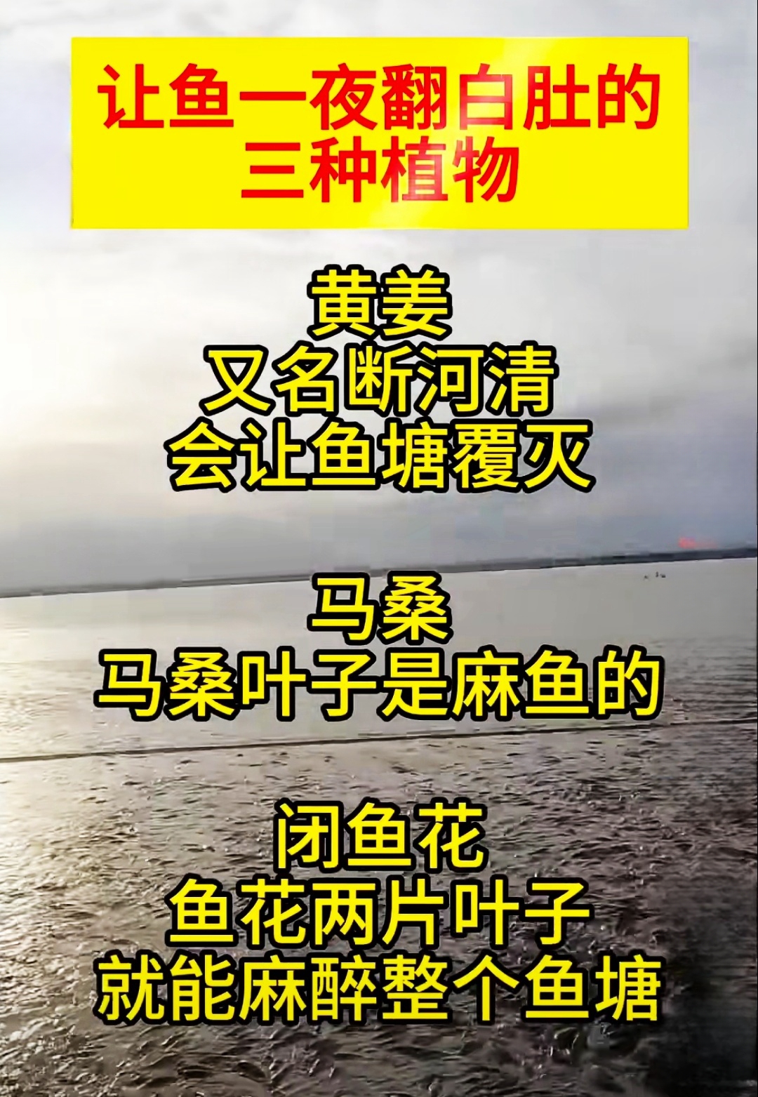 钓友们的反击“武器”。当你在垂钓中遭受到不公驱逐、或者其他不公待遇时，大可拿起这