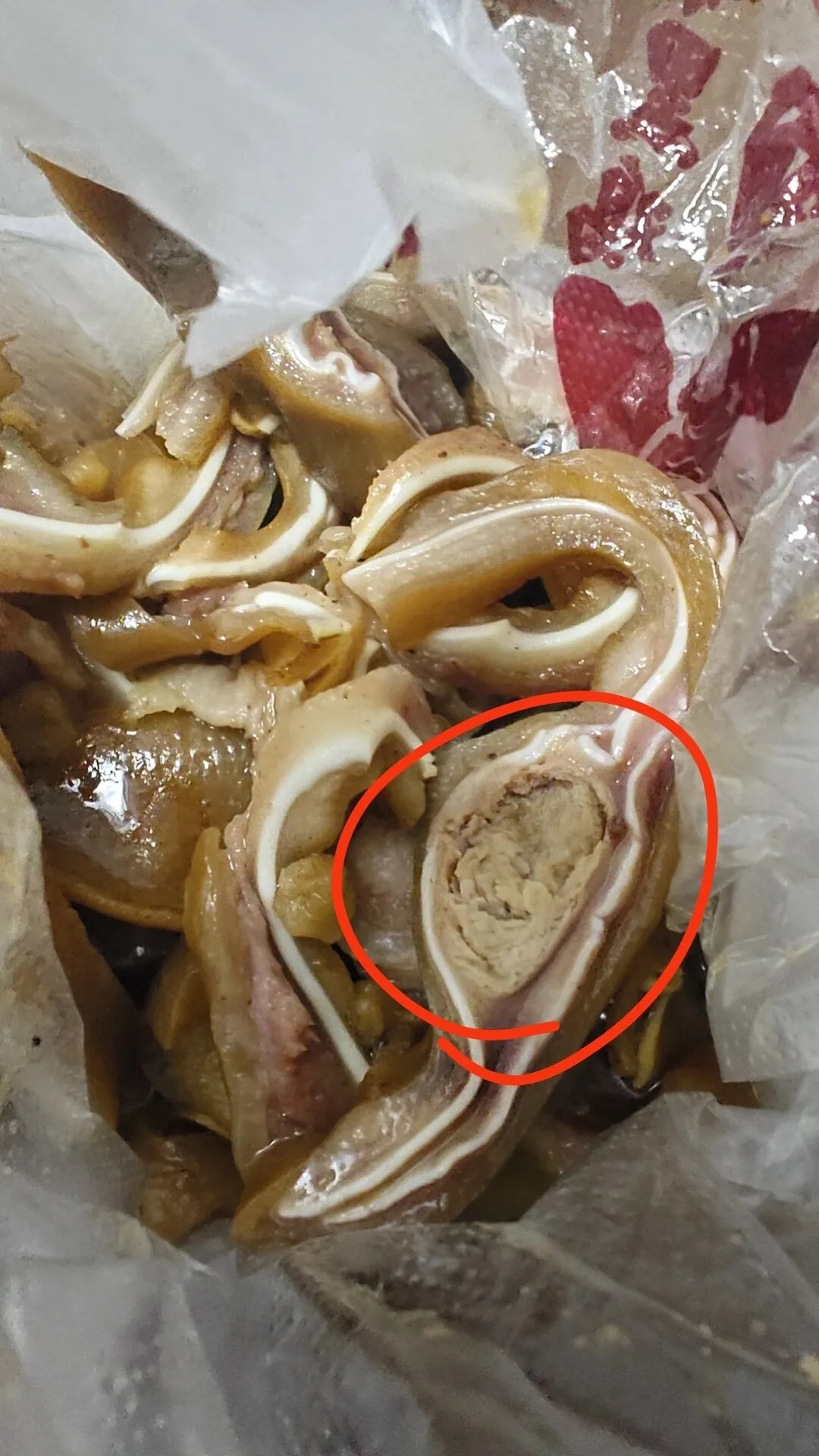 全知全能的网友人啊！！
有没有谁知道猪耳朵里面的这一团到底是啥啊啊啊
