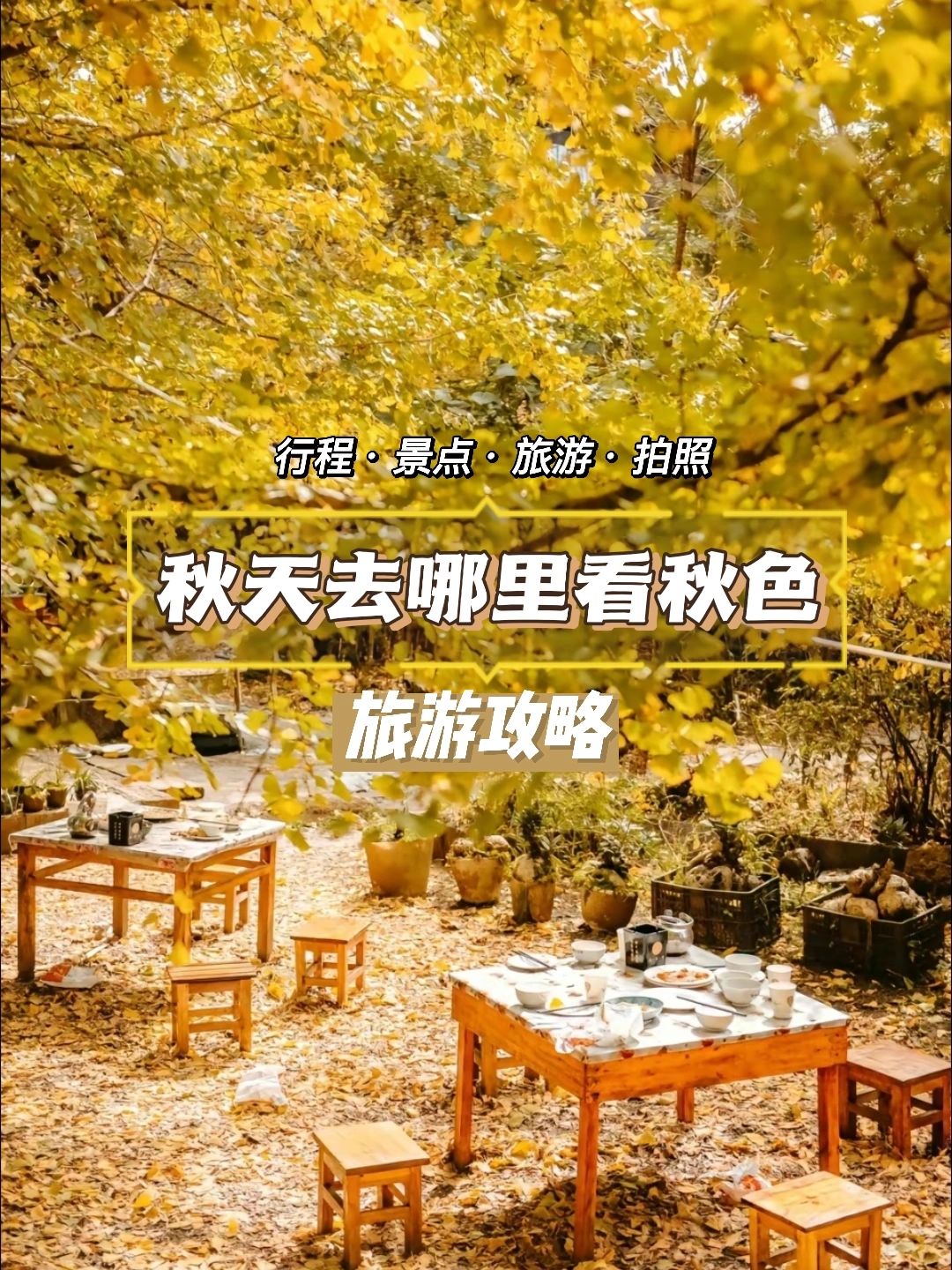 想好好感受秋天的美景，要来云南腾冲看看