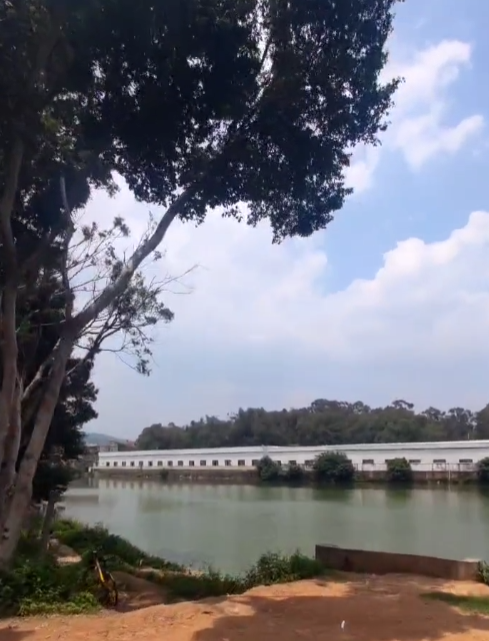 隐藏在闹市之中的宁静，野钓必备打卡地