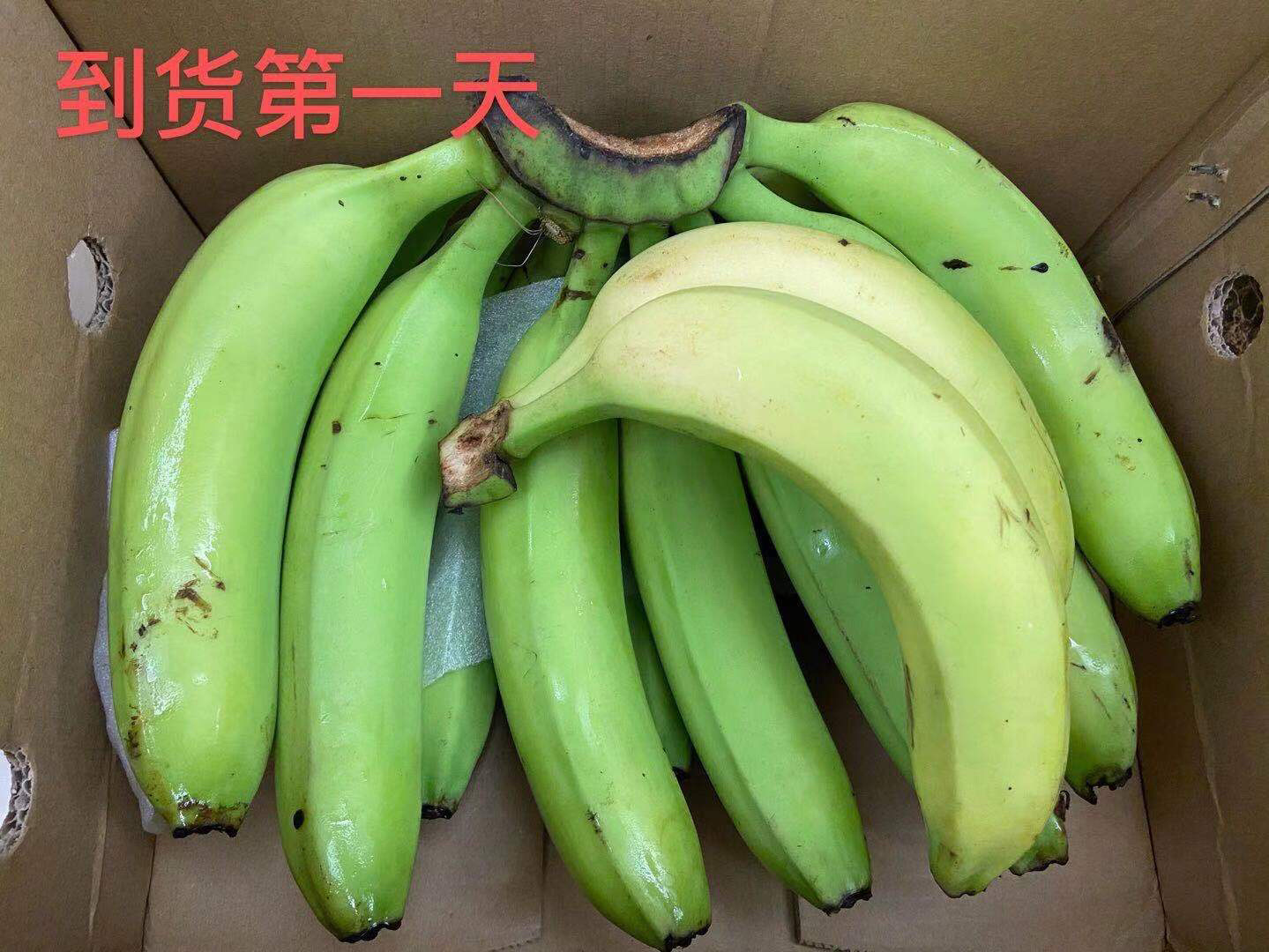 青皮香蕉催熟方法#香蕉怎么催熟#
