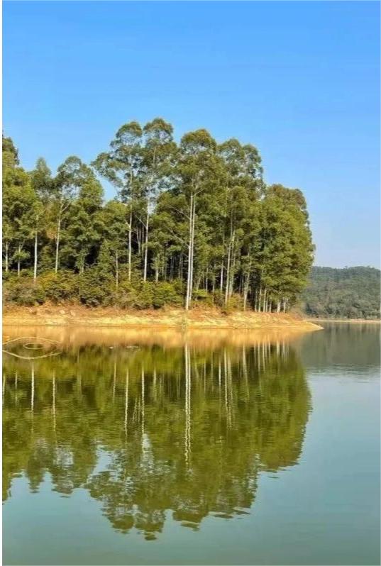 这三个广州周边驱车就可以到达的露营点绝了