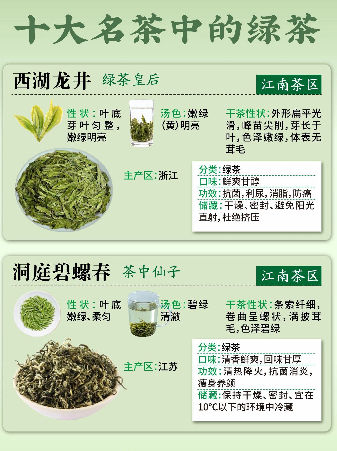 绿茶赏鉴#绿茶#