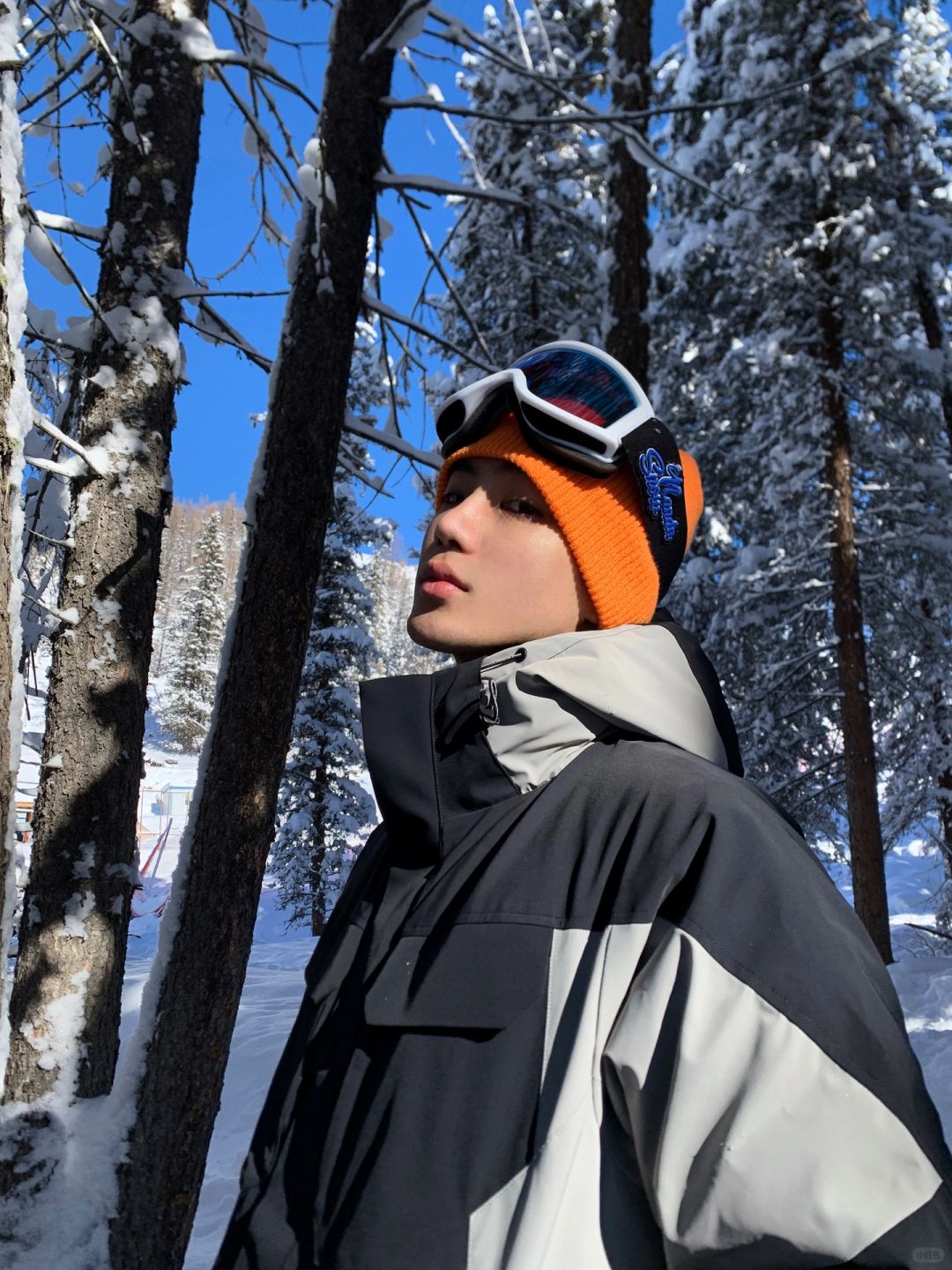 Lost in the snowforest🌲❄️
喜欢自由的感觉
喜欢躲进大