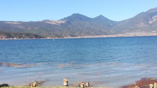 长得丑的人会被爱吗?