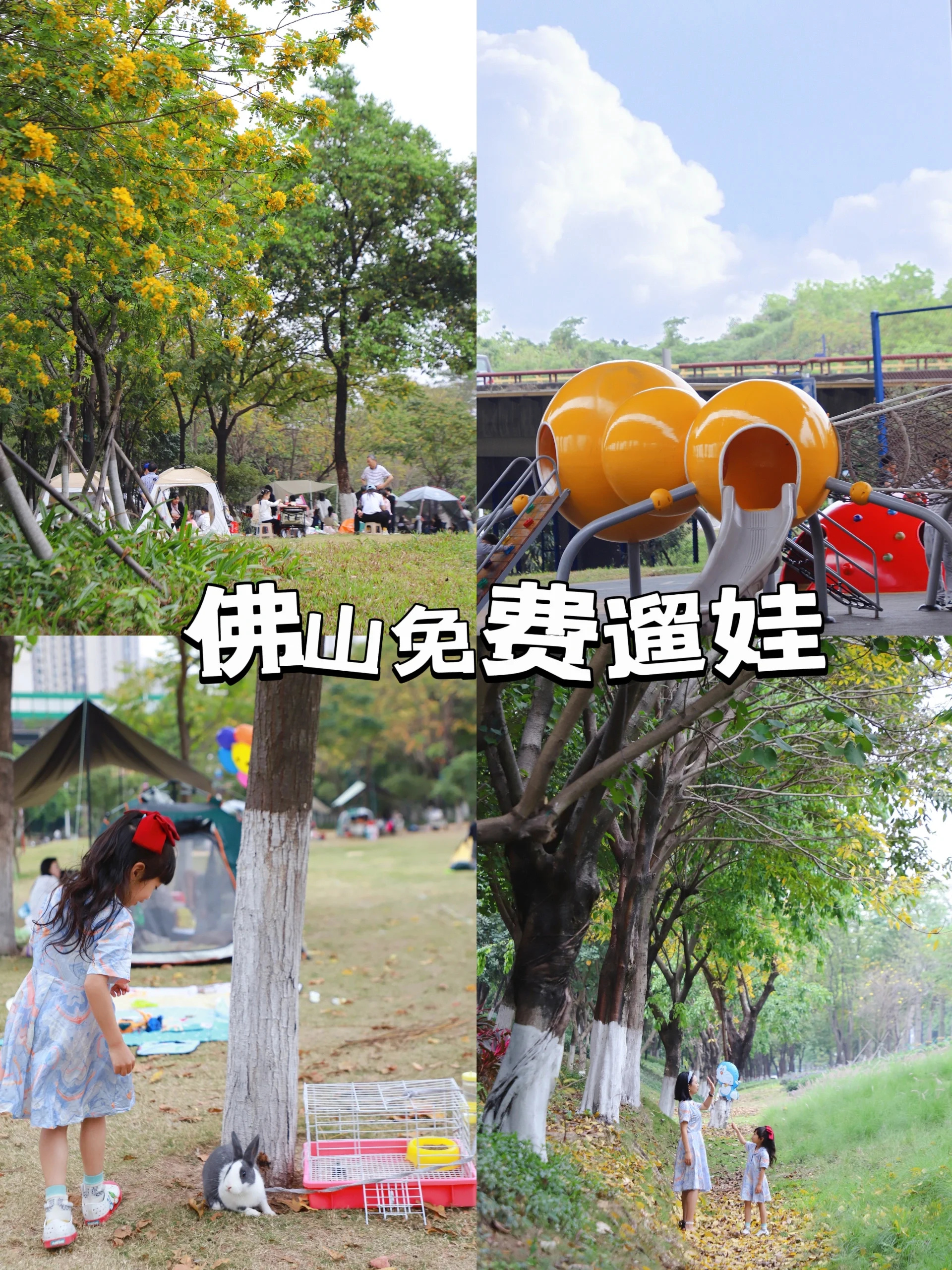 发现佛山宝藏公园，一条公路三个公园怎么玩