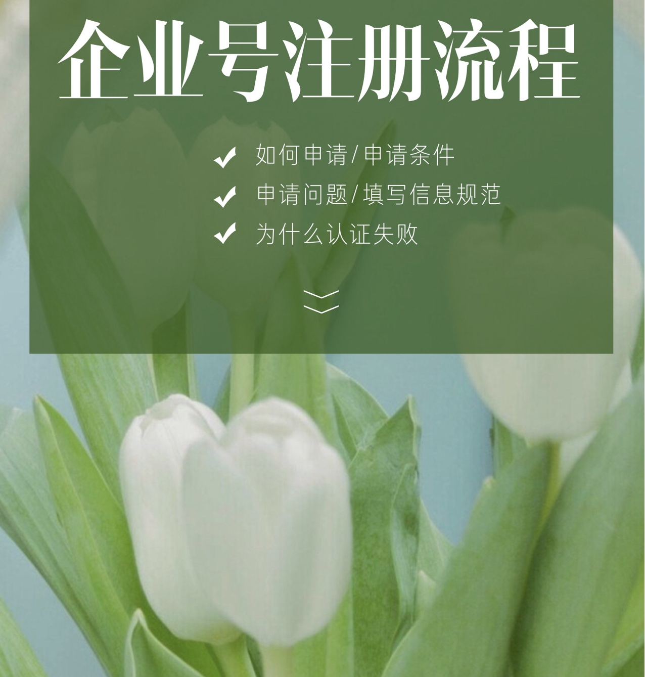小红书企业号#自媒体申请注册#