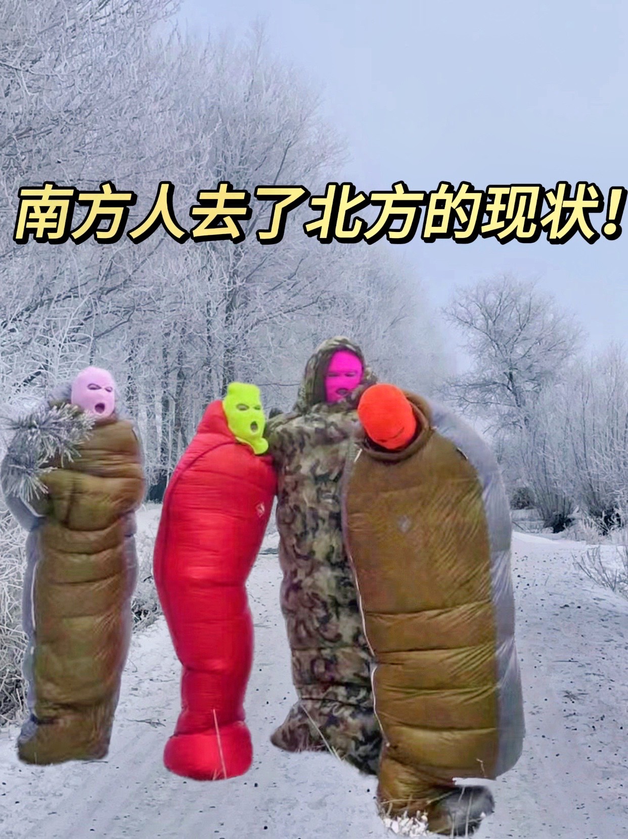 南方人呀，去了东北的状况