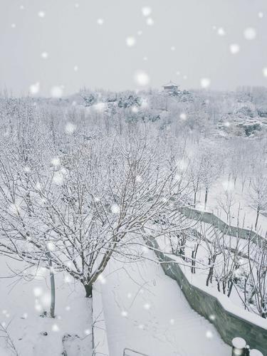 香茗阁赏雪

玉龙飞下雪花铺，万里乾坤一色孤。
天上琼楼春似海，人间银阙月如壶。